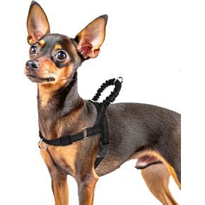 PUPTECK No Pull Dog Harness for Large Dogs, Adjustable Reflective Pet Vest Harness with Bungee Handle, Escape Proof No Choke Harness for Large Dogs Walking Training, Black L