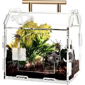 Jumping Spider Enclosure Acrylic Terrarium: Tarantula Enclosure with Front Opening Door - 5.9 * 4.7 * 6.1 Inches Micro Habitat Terrarium for Tarantulas, Reptiles, Insects