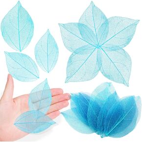 Natural Real Skeleton Leaves for Resin, 42PCS Lake Blue Dry VajraSkeleton Leaf for Resin Mold Art DIY Craft Candle Making Phone Case Wedding Home Decor