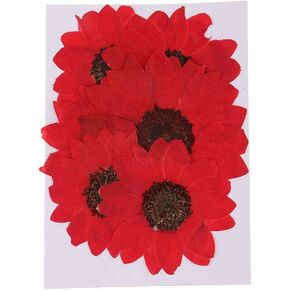 6pcs Dried Sunflower Natural Dried Flowers Pressed Flowers for DIY Art Crafts Decoration - Red