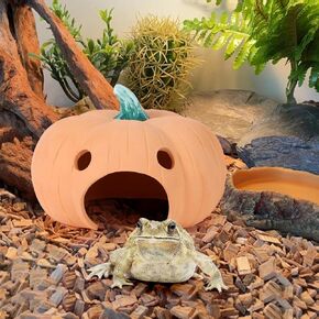 Frog and Toad House Reptile Cave Terracotta Toad with Green Lid 8 * 6 Inches Reptile Hiding Place Frog Toad House for Outside Garden Aquarium Hide for Toad Frog Turtle Lizard