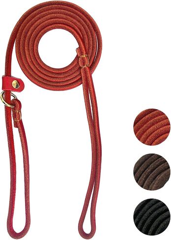 Guiding Star Leather Dog Leash 6 ft x 1/4 inch,Thin and Lightweight Leather Leashes for Small Dogs,Leather Cat Leashes for Small Cats,Soft Genuine Leather Dog Training Leashes for Petite Dogs Black in Saudi Arabia