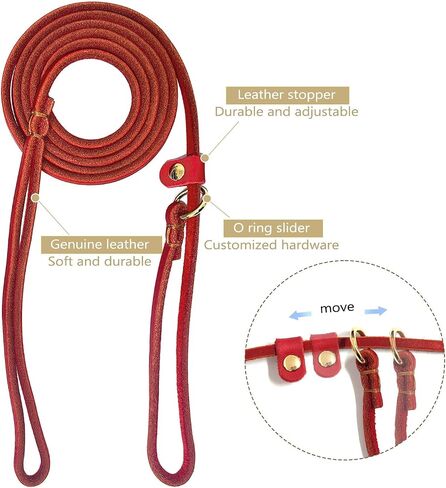 Guiding Star Leather Dog Leash 6 ft x 1/4 inch,Thin and Lightweight Leather Leashes for Small Dogs,Leather Cat Leashes for Small Cats,Soft Genuine Leather Dog Training Leashes for Petite Dogs Black in Saudi Arabia