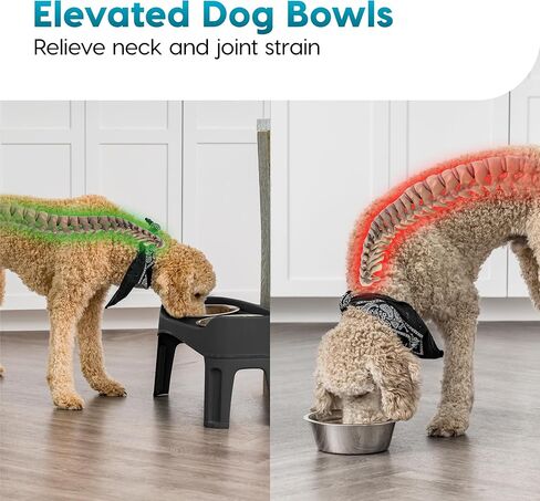 IRIS USA 2-in-1 Elevated Dog Bowls 6" H with Airtight Pet Food Storage Container Holds Up to 5 Lbs, Removable 2 Thick 16 oz Stainless Steel Bowls, at Home or Camping Pet Dish Bowl Set, Smoke/Black in Saudi Arabia