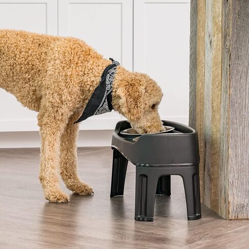 IRIS USA 2-in-1 Elevated Dog Bowls 6" H with Airtight Pet Food Storage Container Holds Up to 5 Lbs, Removable 2 Thick 16 oz Stainless Steel Bowls, at Home or Camping Pet Dish Bowl Set, Smoke/Black in Saudi Arabia