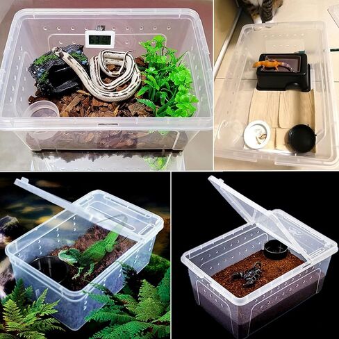 Hamiledyi 2PCS Reptile Feeding Box Snake Breeding Box Transparent Animal Habitat Cage Portable Plastic Turtle Transport Container for Bearded Dragon Lizard Spider Frog Scorpion Gecko 12.6 x 8.6 x 5.9 in Saudi Arabia