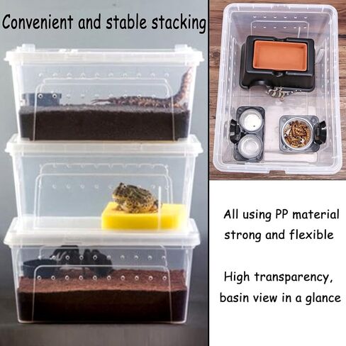 Hamiledyi 2PCS Reptile Feeding Box Snake Breeding Box Transparent Animal Habitat Cage Portable Plastic Turtle Transport Container for Bearded Dragon Lizard Spider Frog Scorpion Gecko 12.6 x 8.6 x 5.9 in Saudi Arabia
