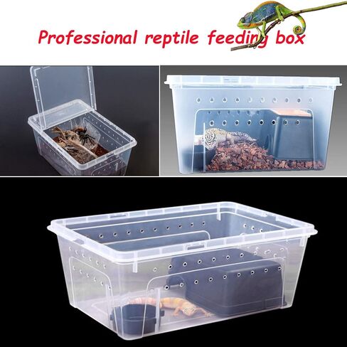 Hamiledyi 2PCS Reptile Feeding Box Snake Breeding Box Transparent Animal Habitat Cage Portable Plastic Turtle Transport Container for Bearded Dragon Lizard Spider Frog Scorpion Gecko 12.6 x 8.6 x 5.9 in Saudi Arabia