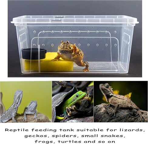 Hamiledyi 2PCS Reptile Feeding Box Snake Breeding Box Transparent Animal Habitat Cage Portable Plastic Turtle Transport Container for Bearded Dragon Lizard Spider Frog Scorpion Gecko 12.6 x 8.6 x 5.9 in Saudi Arabia