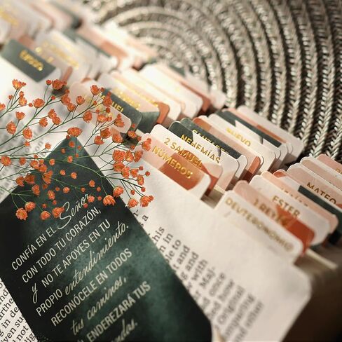 علامات تبويب الكتاب المقدس الكاثوليكية الإسبانية الوردي للكتاب المقدس - مستلزمات دراسة الكتاب المقدس للببليا católica en español ، دراسة الكتاب المقدس مع علامات تبويب الأناجيل - تبويب الكتاب المقدس للنساء والرجال ، وملحقات الكتاب المقدس in Kuwait