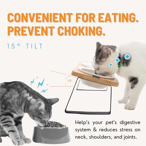 Elevated Cat Steel Bowls Stand for Food and Water, Small Dog, Anti Vomit, Indoor Cats, Tilted Feeding Position, Full Bamboo Body Stand with Food Grade, Feeding Station for Cats and Puppy in Saudi Arabia