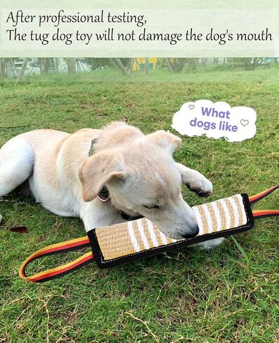 Clysoru Dog Tug Toy Dog Tough Jute Bite Pillow Lasting Training Equipment Two Flag Handles Puppy to Large Dogs Interactive Toy war Toys for Aggressive chewers in Saudi Arabia