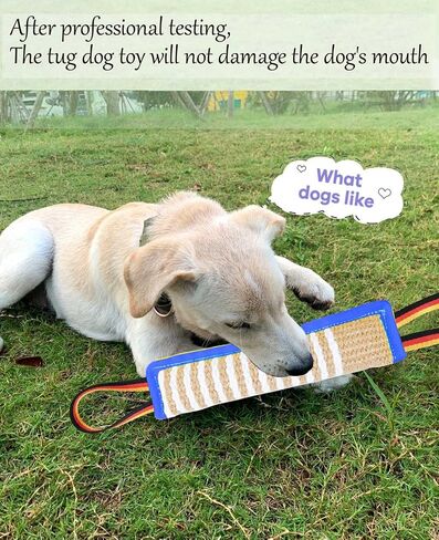 Clysoru Dog Tug Tuy Dog Tough Jute Bite Pillow معدات التدريب الدائمة للعلم يعاملون الجرو إلى ألعاب حرب تفاعلية للكلاب الكبيرة لمضغات العدوانية in Kuwait