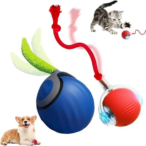 Speedy Tail 2.0,Speedy Tail Cat Toy,Speedy Tail 2.0 Cat Toy,Interactive Cat Toy Balls for Indoor Cats,Two Speed,USB Rechargeable Smart Self Rolling Automatic Cat Toy Ball with Speedy Tail(Orange) in Kuwait