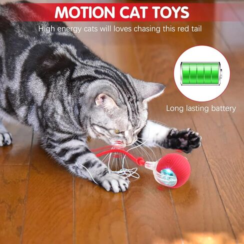 Speedy Tail 2.0,Speedy Tail Cat Toy,Speedy Tail 2.0 Cat Toy,Interactive Cat Toy Balls for Indoor Cats,Two Speed,USB Rechargeable Smart Self Rolling Automatic Cat Toy Ball with Speedy Tail(Orange) in Kuwait