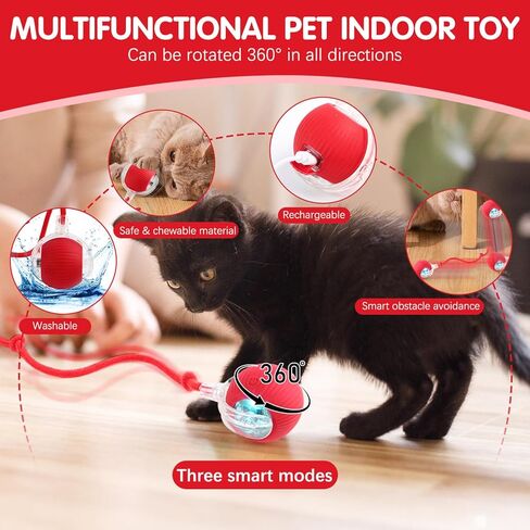 Speedy Tail 2.0,Speedy Tail Cat Toy,Speedy Tail 2.0 Cat Toy,Interactive Cat Toy Balls for Indoor Cats,Two Speed,USB Rechargeable Smart Self Rolling Automatic Cat Toy Ball with Speedy Tail(Orange) in Kuwait