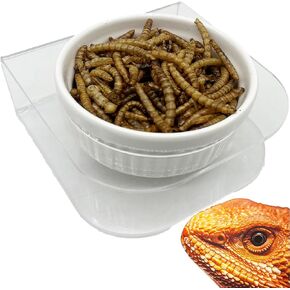 Pasteable Reptile Feeding Ledge,Acrylic Gecko Feeder Ledge with 2PCS Ceramic Cups,Reptile Food Water Bowl for Bearded Dragon Lizard Snake, Reptile Terrarium Tank Accessories