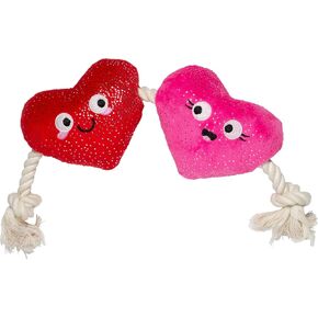 Fringe Studio Plush Dog Toy with Rope, Covered with Love, Petshop Collection (314495)