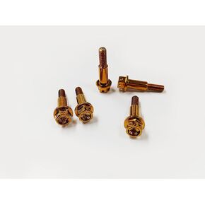 5pcs Hollow Hexagonal Step Screw M6*30mm Premium 304 Stainless Steel Screws Rust-Proof Bolts Cover Bolt Dress Up Bolts Mechanical Fastener Kits (Gold)