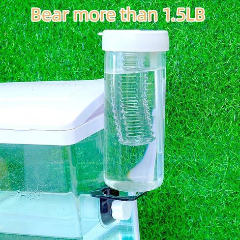 100pcs 1oz Crested Gecko Food and Water Feeding Cups, Reptile Feeder Bowls, for Lizard and Other Small Pet Ledge Accessories Supplies in Saudi Arabia
