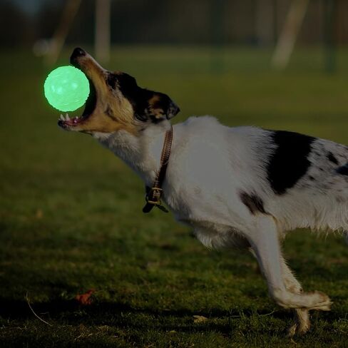 4-Pack 3.5" Glow Squeaky Dog Balls,Bouncy Glow in The Dark Dog Ball with Squeaker, Durable Dog Rubber Ball Toys Glowing Fetch Balls for Medium Large Dogs Nighttime Playing Indoors & Outdoors in Saudi Arabia