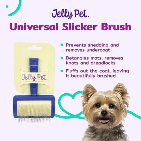 Jelly Pet Universal Slicker Brush for Dogs, Dog Grooming Brush, Remove Tangles and Dead Undercoat, Tuffer Than Tangles, Maltese Shi-Tzu Poodle Bichon, Firm Pins, Teal, Small in Saudi Arabia
