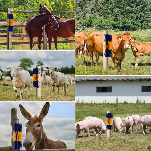 Livestock Scratching Brush, Flexible PBT Horse Grooming Kit Horse Brushes, Massage Brush Kit for Cattle, Cow, Sheep, Horses Goat Supplies (Yellow-Blue, 1 pack) in Kuwait