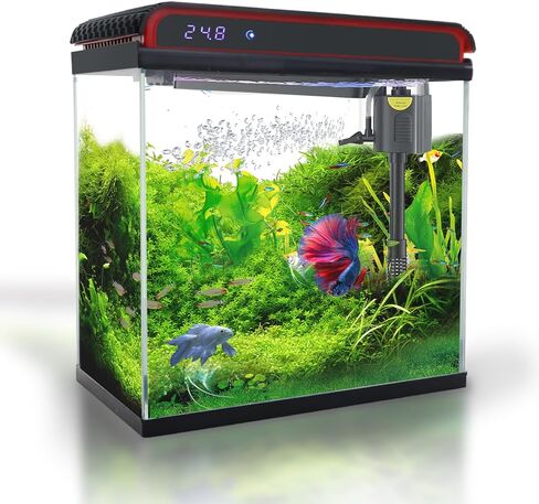 Glass 5 Gallon Fish Tank Aquarium - Smart Self-Cleaning Starter Kit with 3-Color LED Light, Ultra Quiet Pump & Filter, Temperature Monitoring for Betta Fish and Shrimp in Kuwait