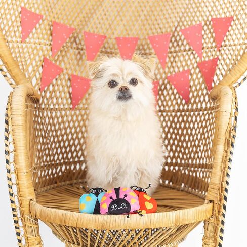 Fringe Studio Plush Dog Toy with Rope, Covered with Love, Petshop Collection (314495) in Saudi Arabia