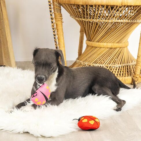 Fringe Studio Plush Dog Toy with Rope, Covered with Love, Petshop Collection (314495) in Saudi Arabia