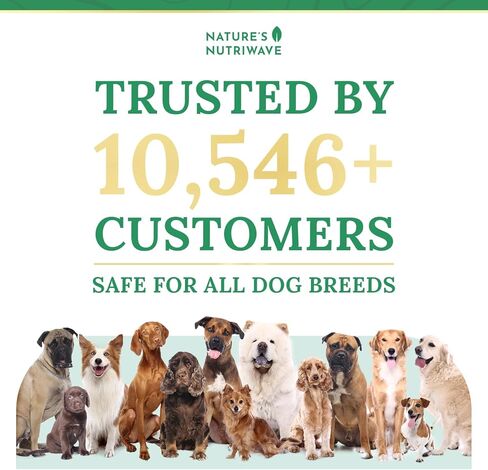 Pawbiotix Liquid probiotics for Dogs - Dog probiotics for Digestive Health | 100% Natural Dog Gut Health probiotics | probiotics for Dogs | Original Formula, Beacon Flavor, 1oz, 3 Month Supply in Saudi Arabia