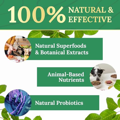 Pawbiotix Liquid probiotics for Dogs - Dog probiotics for Digestive Health | 100% Natural Dog Gut Health probiotics | probiotics for Dogs | Original Formula, Beacon Flavor, 1oz, 3 Month Supply in Saudi Arabia