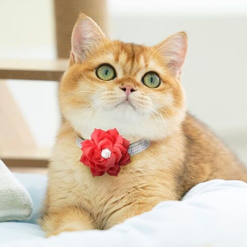 Cat Collar Bling Diamond Breakaway Cat Collar with Bell Rhinestones Pet Collars with Soft Velvet Adjustable Shine Collar for Cats Girls and Small Dogs Puppy (Pink) in Saudi Arabia