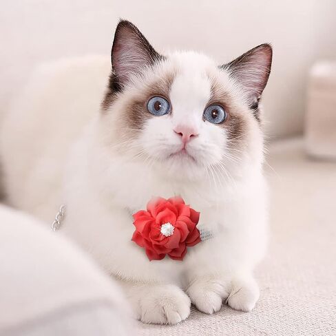 Cat Collar Bling Diamond Breakaway Cat Collar with Bell Rhinestones Pet Collars with Soft Velvet Adjustable Shine Collar for Cats Girls and Small Dogs Puppy (Pink) in Saudi Arabia