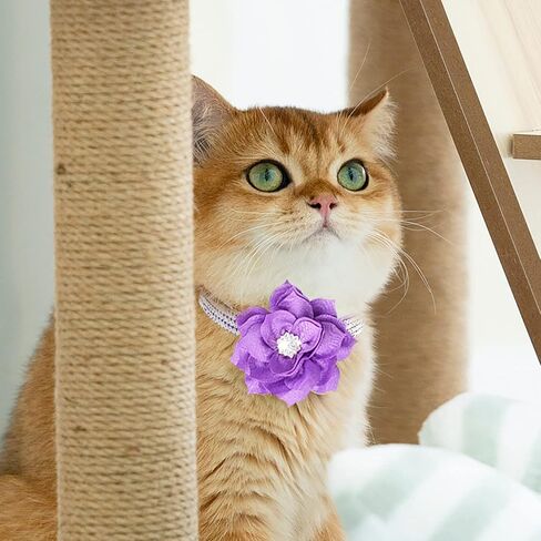Cat Collar Bling Diamond Breakaway Cat Collar with Bell Rhinestones Pet Collars with Soft Velvet Adjustable Shine Collar for Cats Girls and Small Dogs Puppy (Pink) in Saudi Arabia