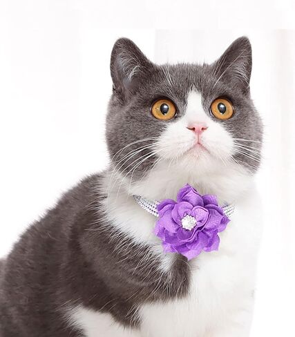Cat Collar Bling Diamond Breakaway Cat Collar with Bell Rhinestones Pet Collars with Soft Velvet Adjustable Shine Collar for Cats Girls and Small Dogs Puppy (Pink) in Saudi Arabia