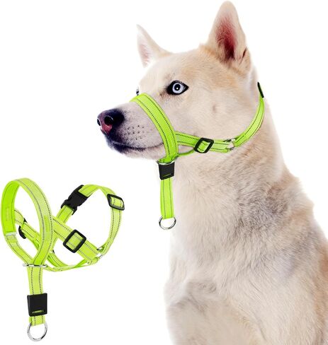 No-Pull Dog Headcollar - Reflective Halter Collar for Dogs, Padded Head Collar to Stop Heavy Pulling, Anti-Pull Muzzle Leash (Black, Small) in Kuwait