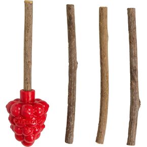 Catstages Dental Raspberry Teether with 4 Silvervine Sticks Included, Cat and Kitten Teething Toy, Red