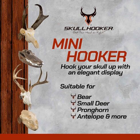 Skull Hooker Mini Hooker Skull Hanger - Perfect Kit for Hanging and Mounting Taxidermy Bear, Small Deer, Pronghorn, and Other Smaller Skulls for Display, Robust Brown in Saudi Arabia