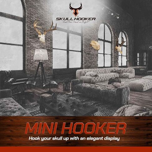 Skull Hooker Mini Hooker Skull Hanger - Perfect Kit for Hanging and Mounting Taxidermy Bear, Small Deer, Pronghorn, and Other Smaller Skulls for Display, Robust Brown in Saudi Arabia