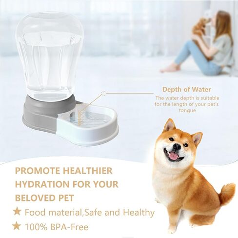 6L أوتوماتيكي كلب مياه أوتوماتيكي موزع-موزع مياه Pet Staltwo ، مغذي المياه الكبيرة للقطط والكلاب ، خالية من BPA ، رمادي 6 لتر in Kuwait