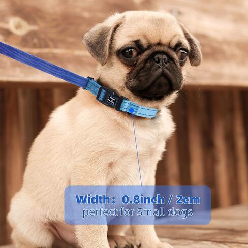 Roses&Poetry Hands Free Dog Leash for Small Dogs, All-in-One Leash & Collar 6.6-8.7ft Adjustable Waist Crossbody Leash for Dog Walking Lightweight with No Metal Clip Running Jogging in Kuwait