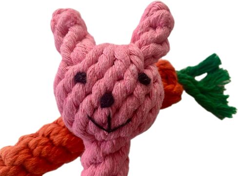 Chewing Rope Carrot and Rabbit Bunny Easter Toy (Egg-Shaped) in Saudi Arabia