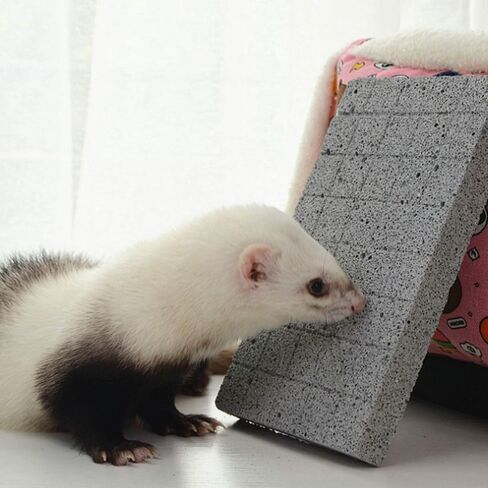 Hamailyi Rabbit Fad Foot Pads 2Pack Bunny طحن مطحنة منظمة صغيرة الحيوانات الحمم البركانية طحن الأسنان الحجر الهامستر مضغ حلوة الخيزر in Kuwait