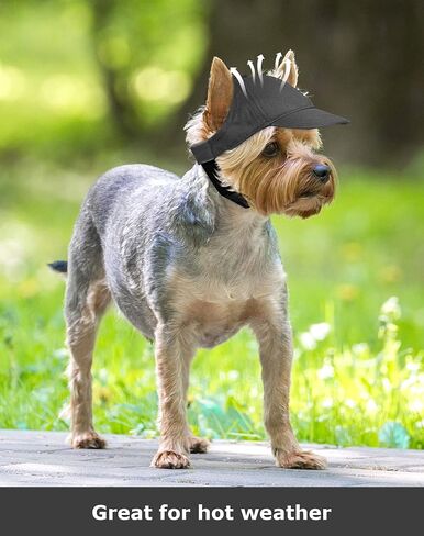 Dog Hat for Small Dogs and Medium Dogs Girl Boy Hats for Dogs Adjustable Dog Bucket Hat Puppy Sun Hat Spring Summer Pet Baseball Cap Doggy Visor (Black, Small(3-15lbs)) in Saudi Arabia