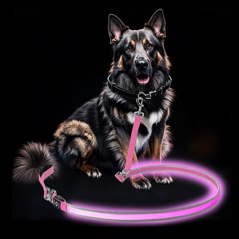 PetIsay Night Walking LED Dog Leash - 6FT Reflective & Waterproof Light Up Safety Leashes for Dogs - USB Rechargeable, Green in Kuwait