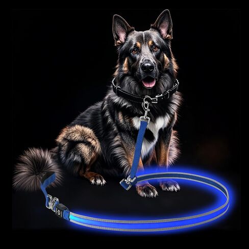 PetIsay Night Walking LED Dog Leash - 6FT Reflective & Waterproof Light Up Safety Leashes for Dogs - USB Rechargeable, Green in Kuwait