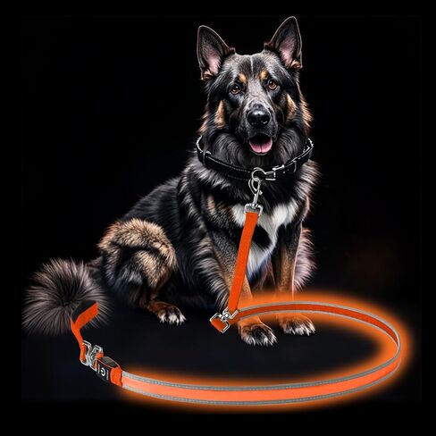 PetIsay Night Walking LED Dog Leash - 6FT Reflective & Waterproof Light Up Safety Leashes for Dogs - USB Rechargeable, Green in Kuwait