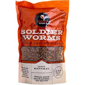 Fluker Coupinary Coop Bulk Soldierwordworms ، ديدان جندي جفاف عضوي ممتاز للبروتين العالي من الدجاج ودجاج أوميغا 3 للطيور البرية ، الزواحف ، ودجاج الدجاج للدجاجات ، 10 رطل ،