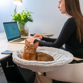Cat Desk Bed,Desk Cat Perch,Cats cave Bed Large,Steel Frame,15 inch,Load 50 LBS,Comfortable Pet Bed,Ultra-Soft Fabric Removable Machine Washable,Modern Pet Furniture